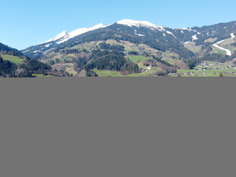 Erzherzog’s Apts/Zillertal Alpen Lodge