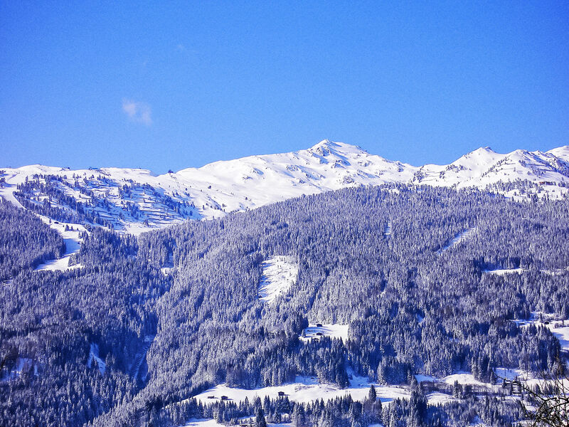 Zeller