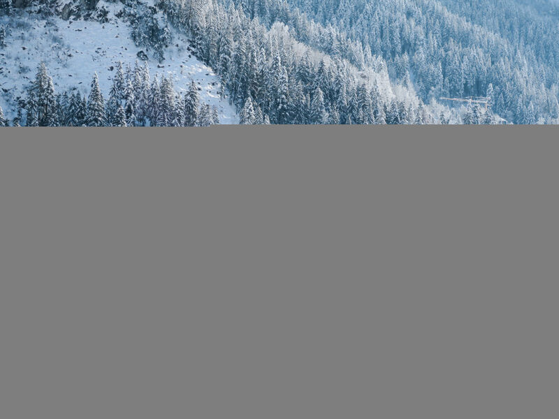 Bauernhof Heisenhaus