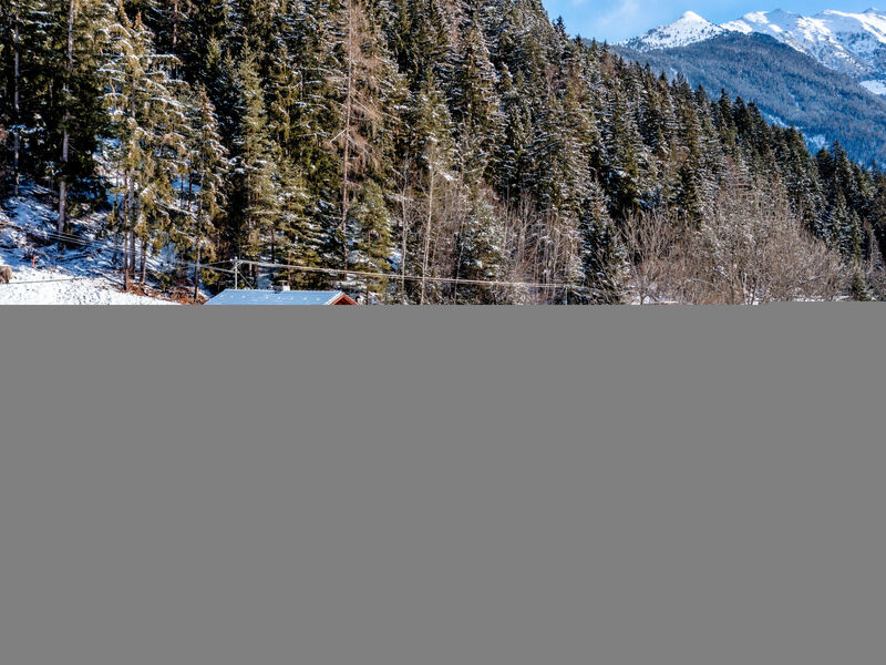 Ferienwohnung Plattner