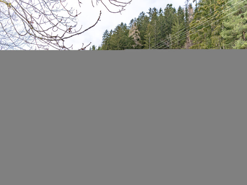 Ferienwohnung Plattner