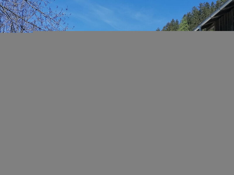 Ferienwohnung Plattner