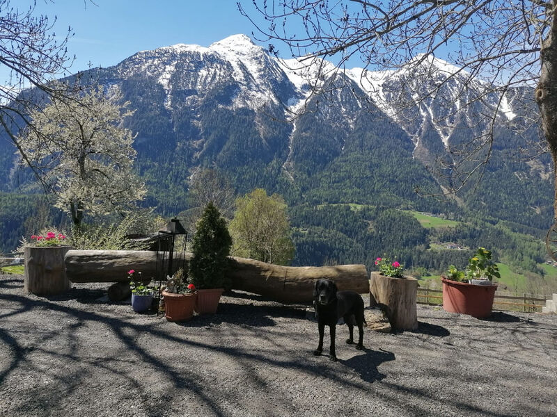 Ferienwohnung Plattner