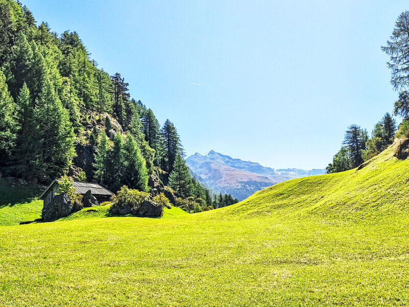 Gasthof Moosalm