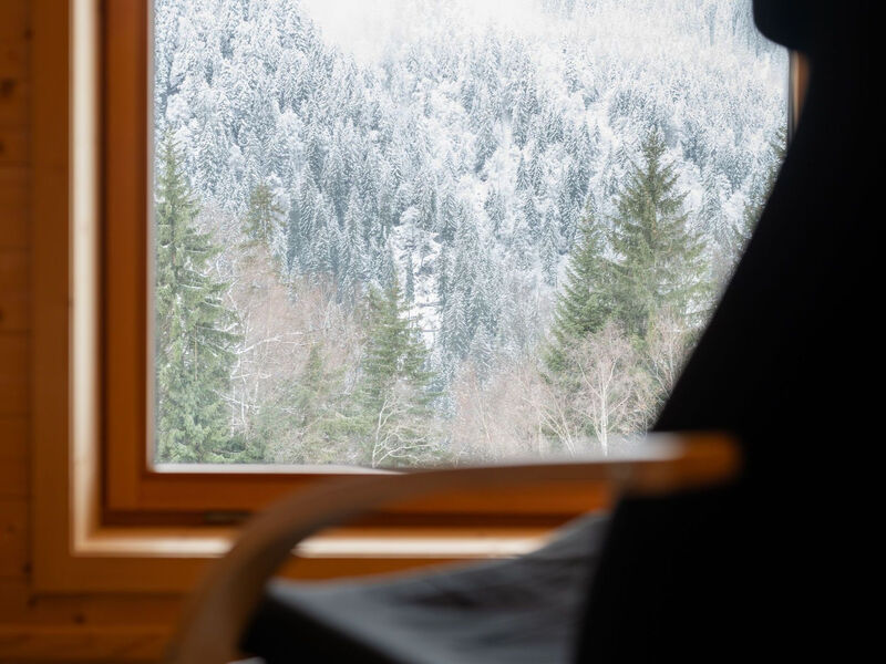 Objekt AT6780.616