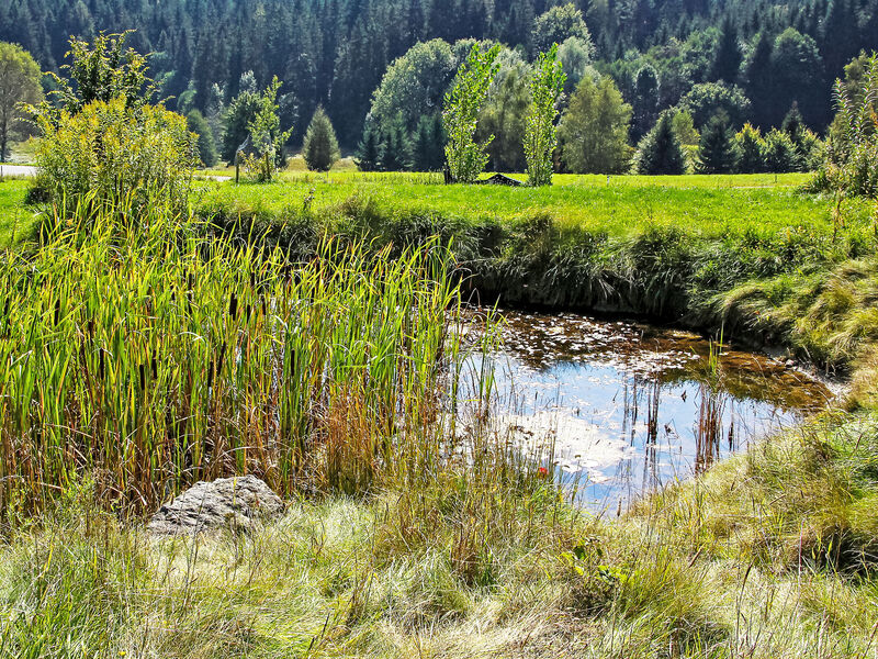 Carinthia