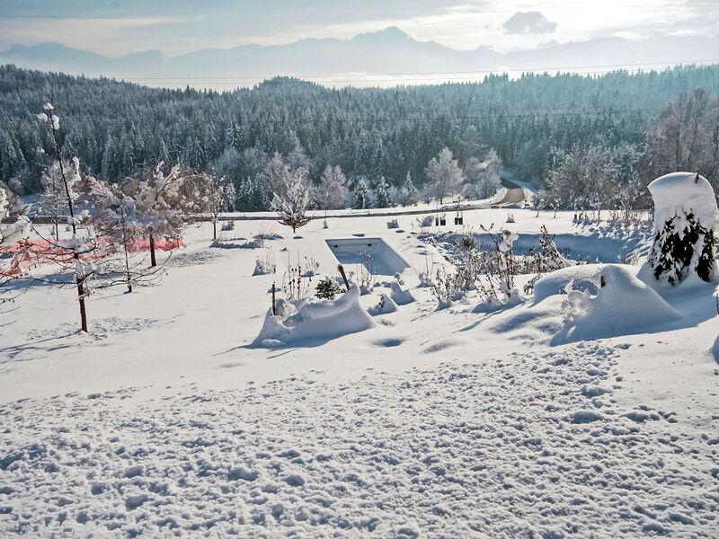Carinthia