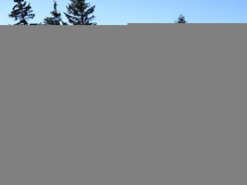 Almhaus am Hohenwart