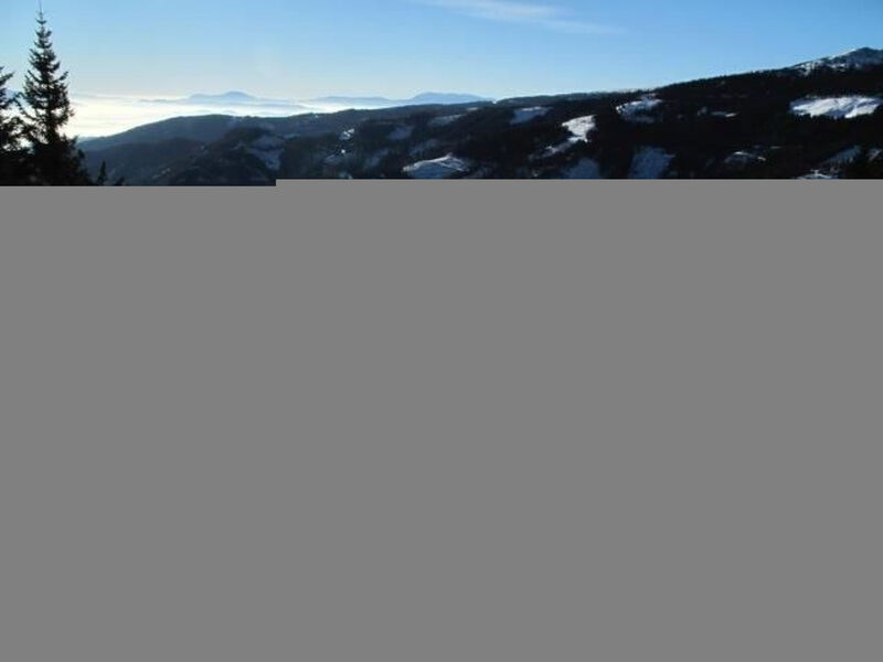 Almhaus am Hohenwart