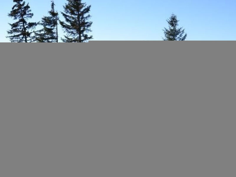 Almhaus am Hohenwart