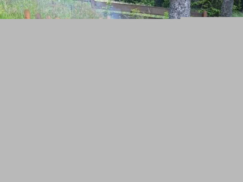 Almhaus am Hohenwart