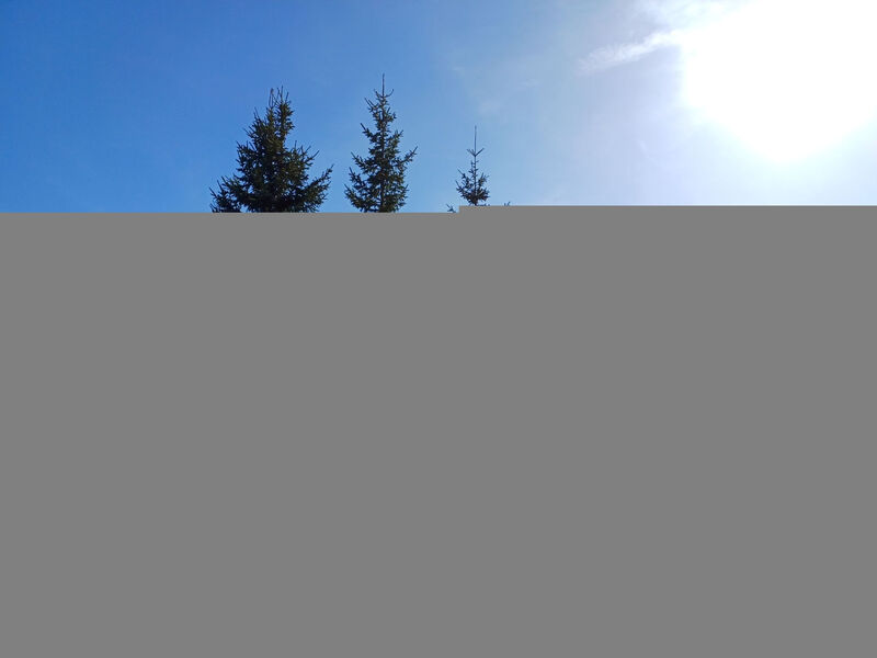 Gemütliche Almhütte direkt im Skigebiet