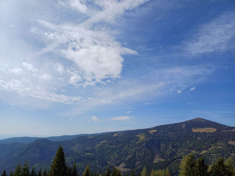 Gemütliche Almhütte direkt im Skigebiet
