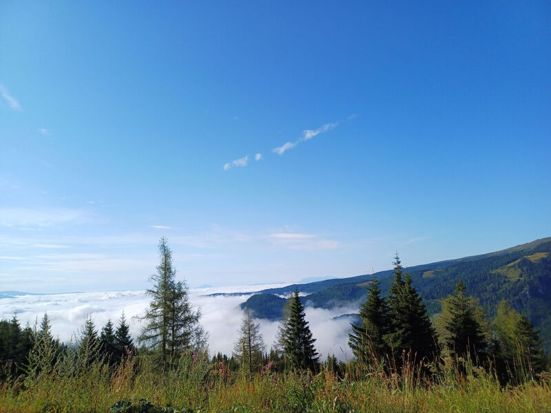 Gemütliche Almhütte direkt im Skigebiet