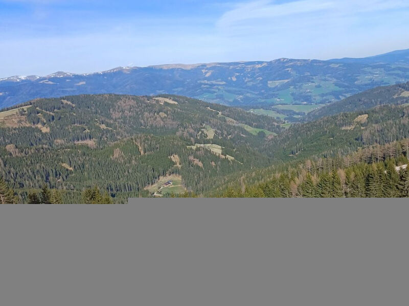 Gemütliche Almhütte direkt im Skigebiet