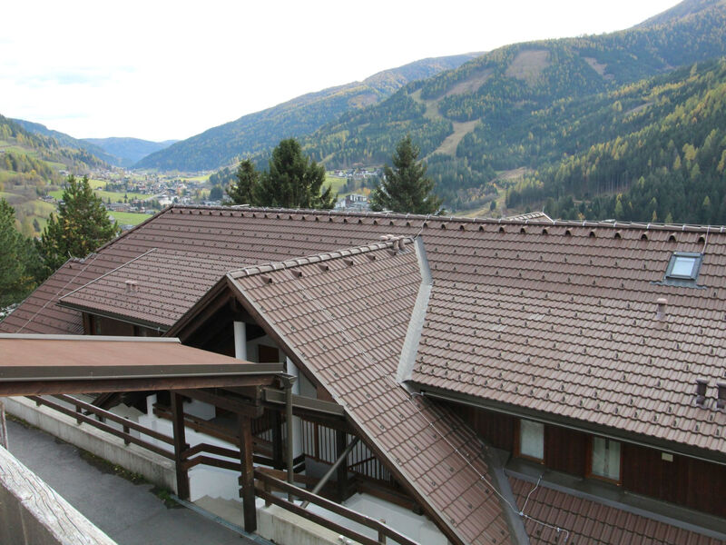 Hirsch