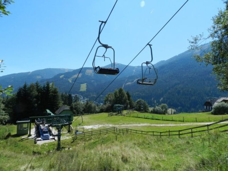 Hirsch
