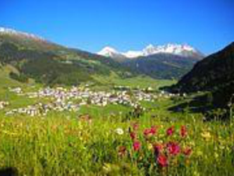 Hotel Edelweiss