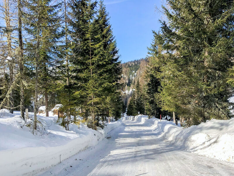 Tom´S Hütte