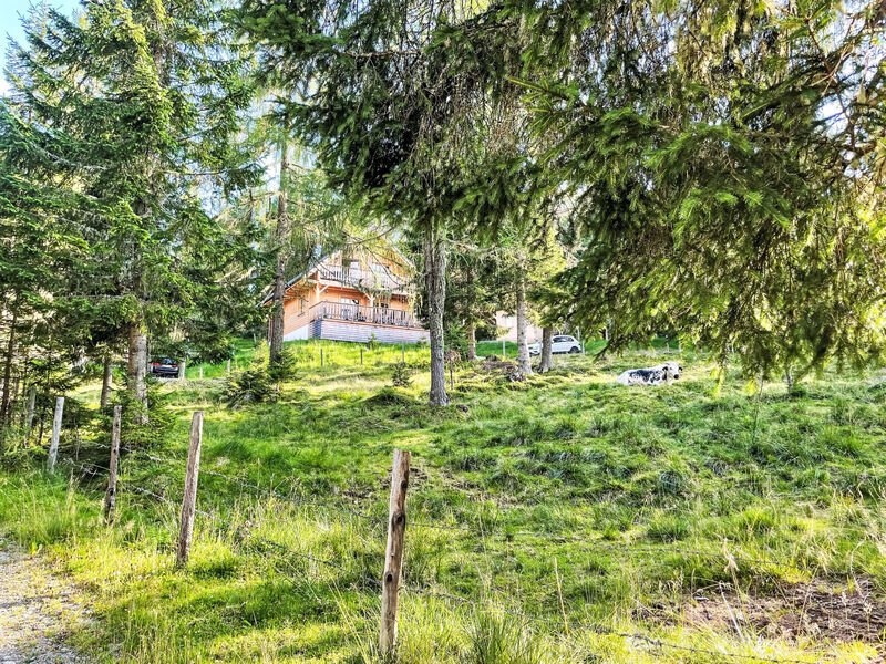Tom´S Hütte
