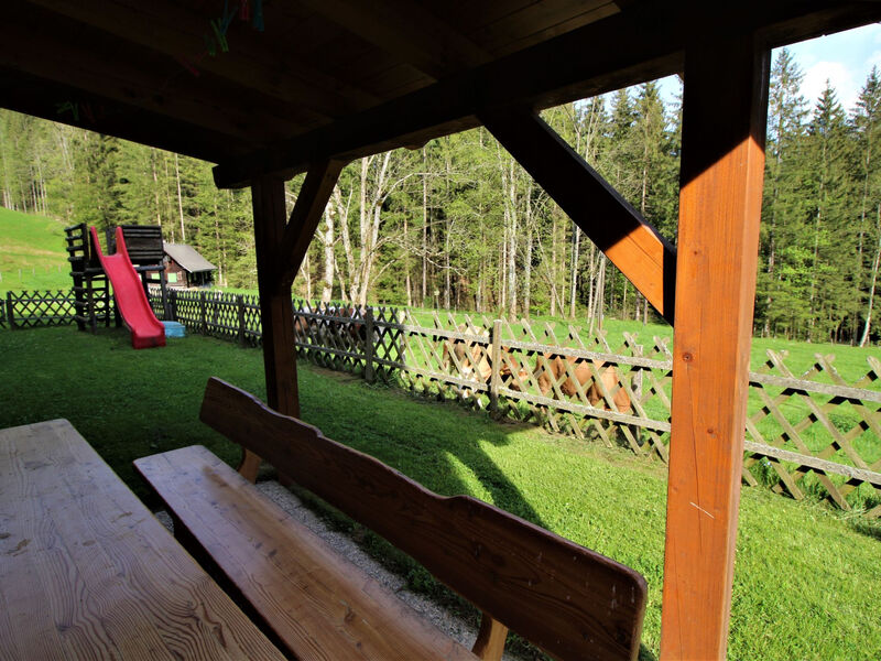 Krechen Alm