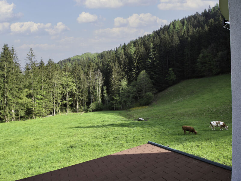 Krechen Alm