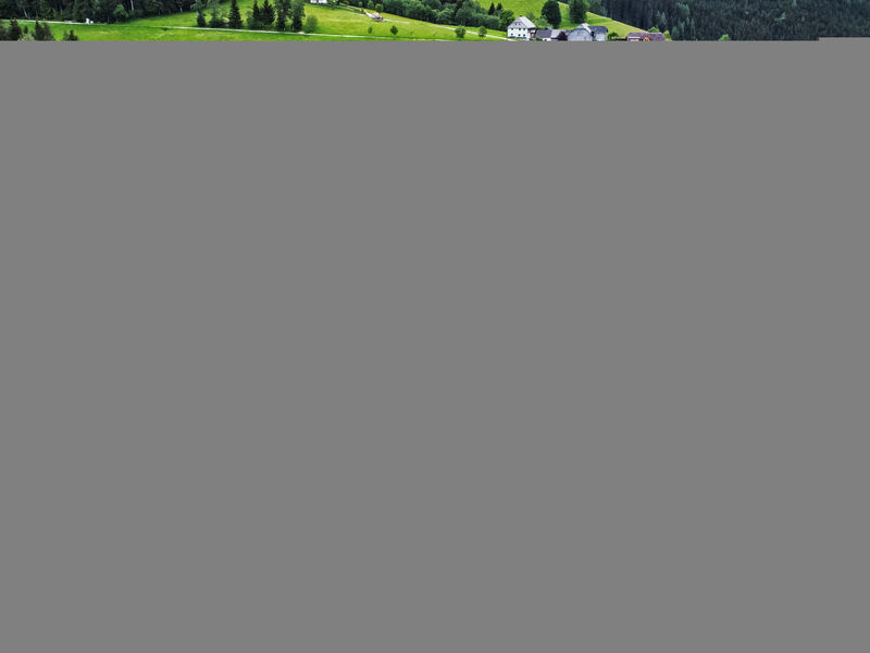 Ferienwohnung Gartenblick