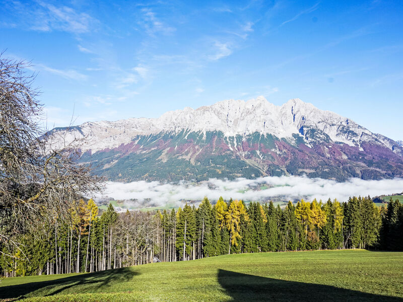 Ferienwohnung Gartenblick