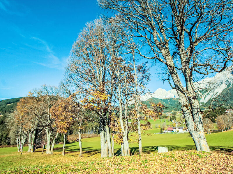 Berghaus Weitblick