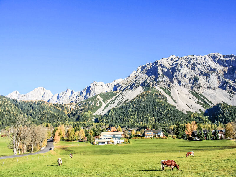 Berghaus Weitblick