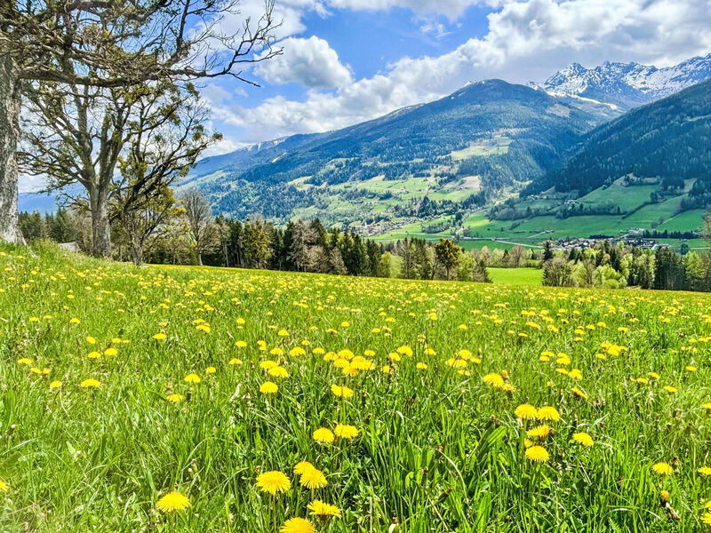 Salzmannhof