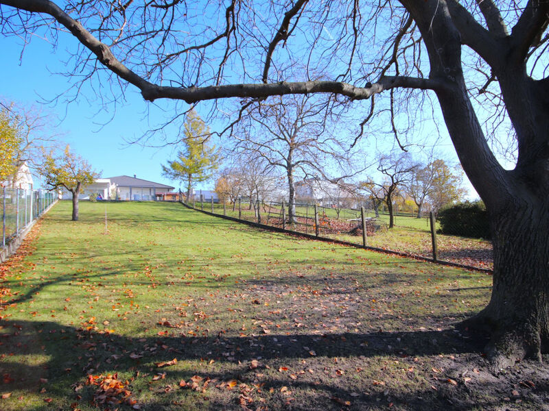Friedl
