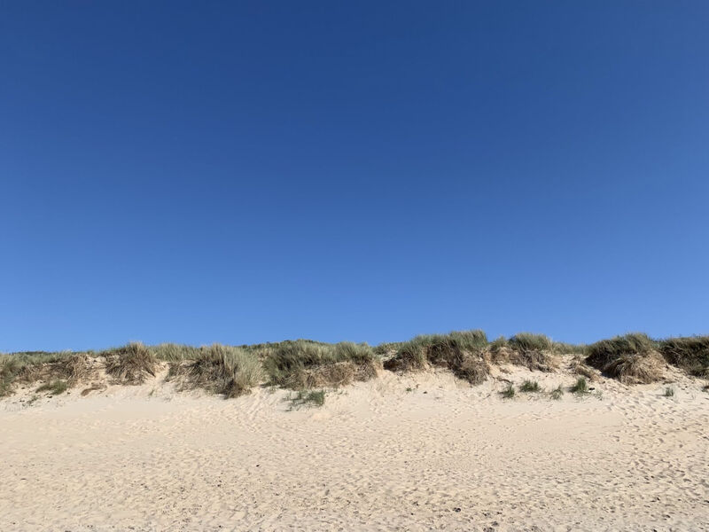 Littoral