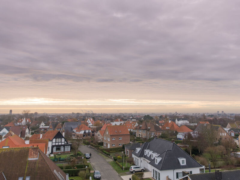 Wilde Zee