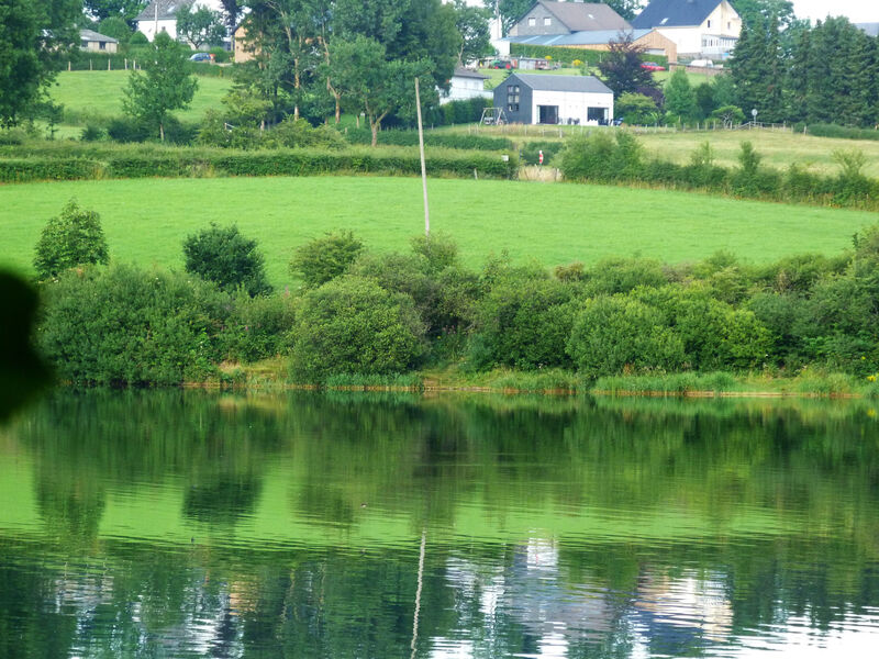 Au Bord Du Lac