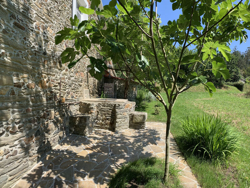 El Olivo