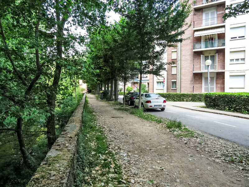 Olot
