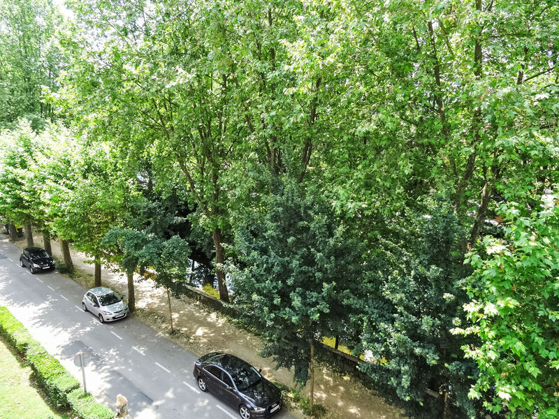Olot