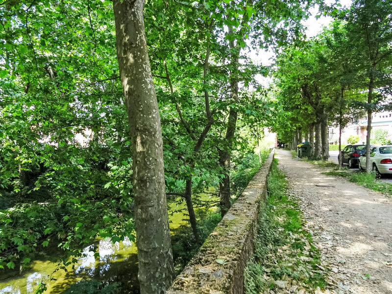 Olot