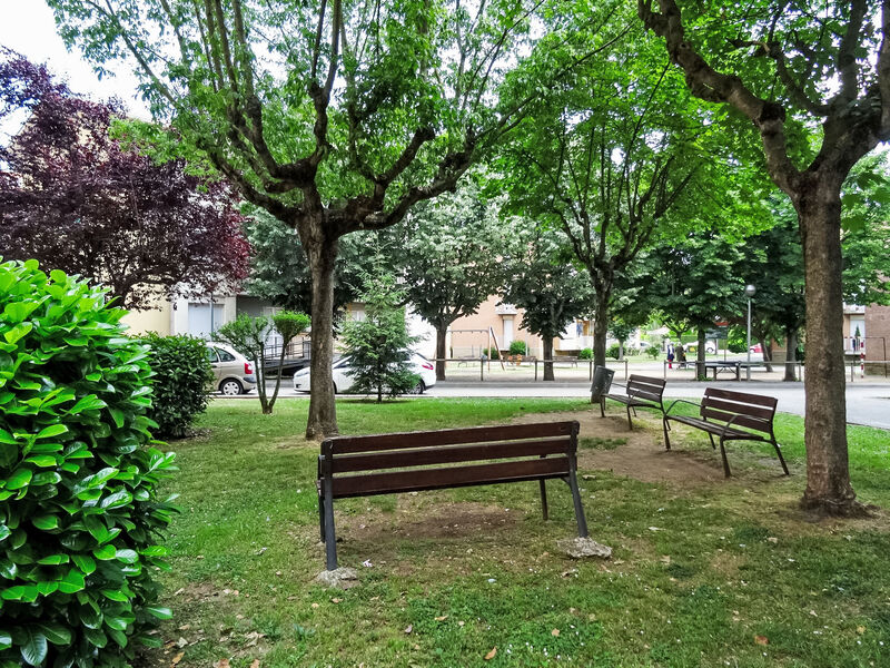 Olot