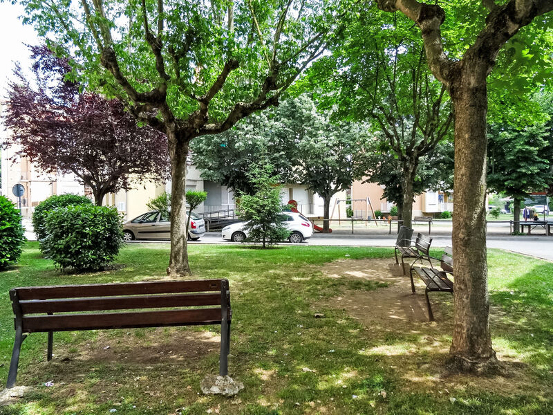 Olot
