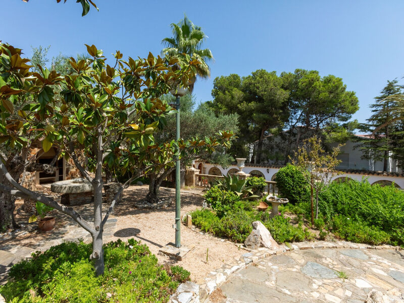 Les Oliveres