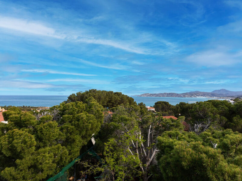 Bona Vista