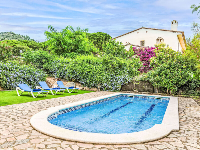 Vila Brava