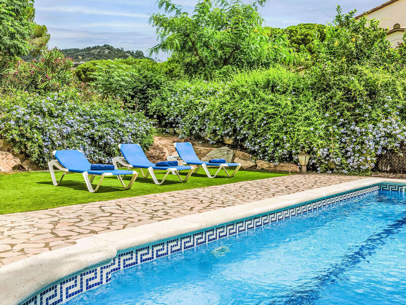 Vila Brava