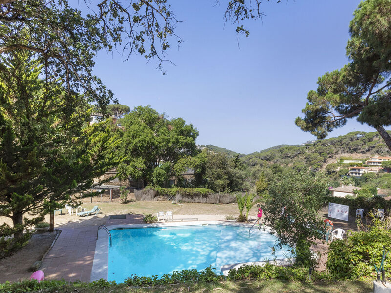 Buganvilla