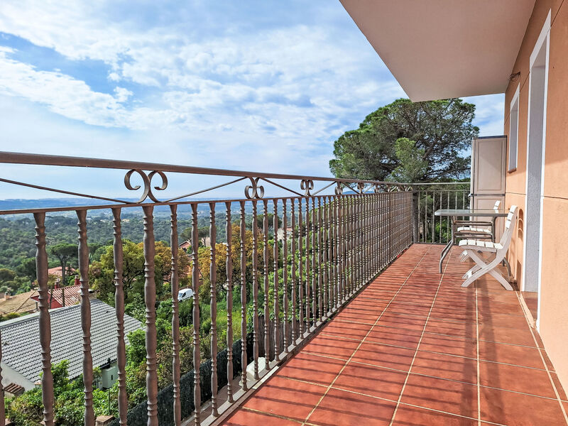 Panoramic