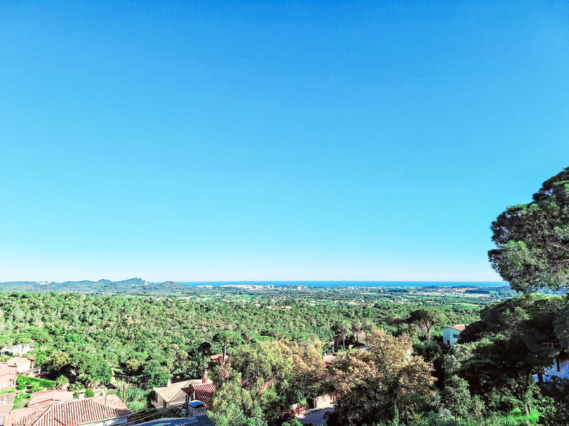 Panoramic