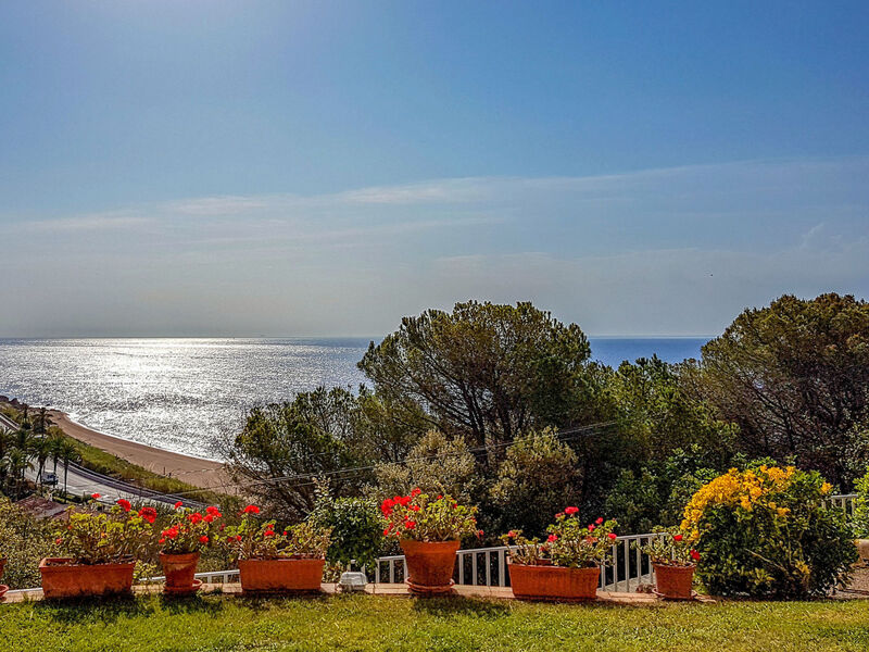 La Marina Blanca
