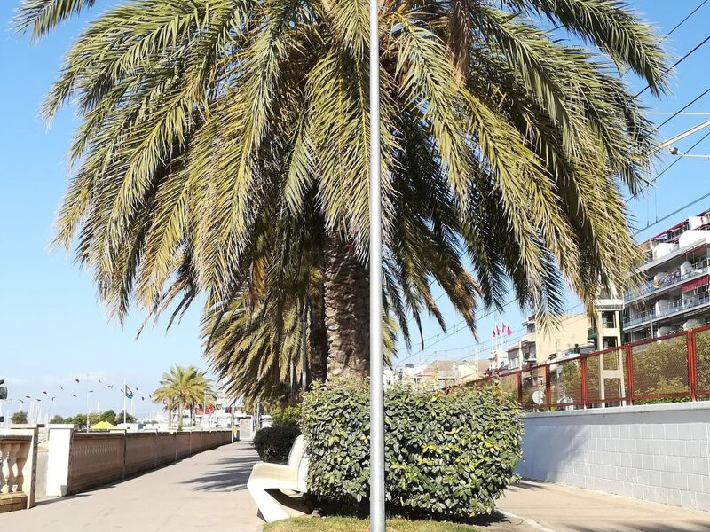 Terrassa de Mar